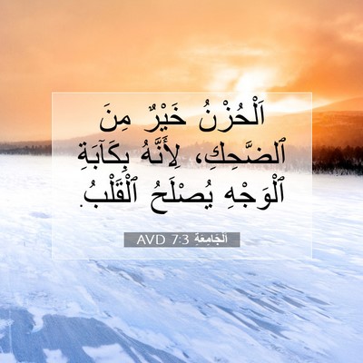 Picture 07 - اَلْجَامِعَةِ 7:3 AVD - اَلْحُزْنُ خَيْرٌ مِنَ - Bible Verse Picture