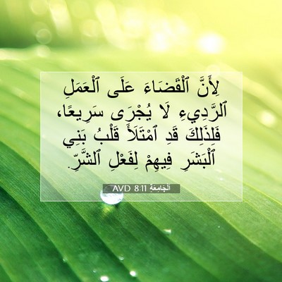 Picture 07 - اَلْجَامِعَةِ 8:11 AVD - لِأَنَّ ٱلْقَضَاءَ عَلَى - Bible Verse Picture