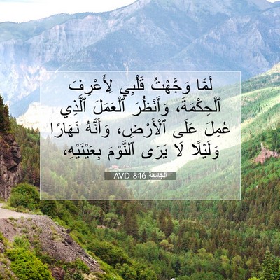 Picture 07 - اَلْجَامِعَةِ 8:16 AVD - لَمَّا وَجَّهْتُ قَلْبِي - Bible Verse Picture