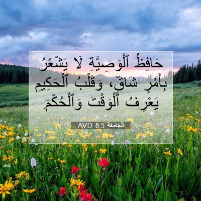 Picture 07 - اَلْجَامِعَةِ 8:5 AVD - حَافِظُ ٱلْوَصِيَّةِ لَا - Bible Verse Picture