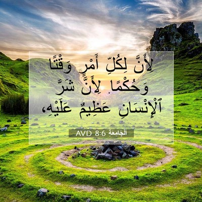 Picture 07 - اَلْجَامِعَةِ 8:6 AVD - لِأَنَّ لِكُلِّ أَمْرٍ - Bible Verse Picture