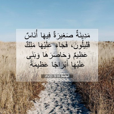 Picture 07 - اَلْجَامِعَةِ 9:14 AVD - مَدِينَةٌ صَغِيرَةٌ - Bible Verse Picture