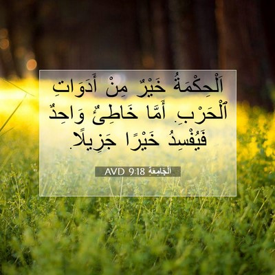 Picture 07 - اَلْجَامِعَةِ 9:18 AVD - اَلْحِكْمَةُ خَيْرٌ مِنْ - Bible Verse Picture