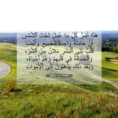Picture 07 - اَلْجَامِعَةِ 9:3 AVD - هَذَا أَشَرُّ كُلِّ مَا - Bible Verse Picture