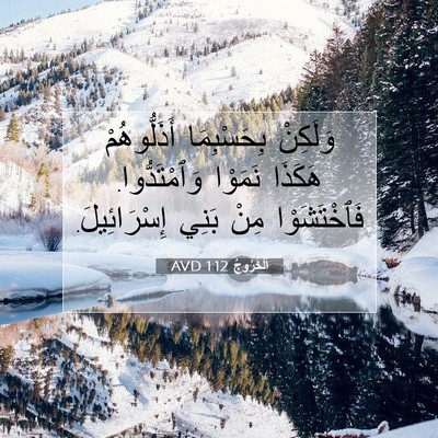 Picture 07 - اَلْخُرُوجُ 1:12 AVD - وَلَكِنْ بِحَسْبِمَا - Bible Verse Picture