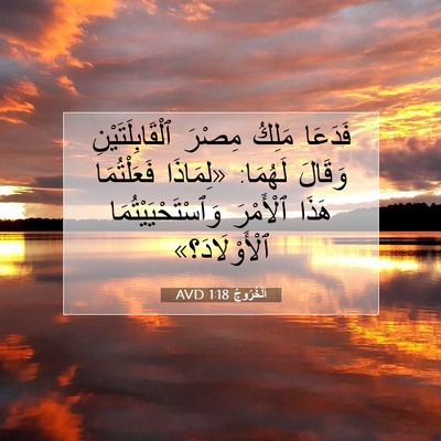 Picture 07 - اَلْخُرُوجُ 1:18 AVD - فَدَعَا مَلِكُ مِصْرَ - Bible Verse Picture