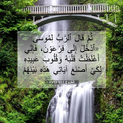 Picture 07 - اَلْخُرُوجُ 10:1 AVD - ثُمَّ قَالَ ٱلرَّبُّ - Bible Verse Picture
