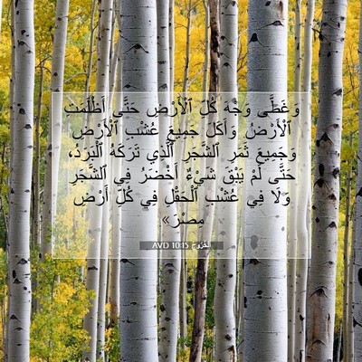 Picture 07 - اَلْخُرُوجُ 10:15 AVD - وَغَطَّى وَجْهَ كُلِّ - Bible Verse Picture