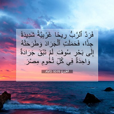 Picture 07 - اَلْخُرُوجُ 10:19 AVD - فَرَدَّ ٱلرَّبُّ رِيحًا - Bible Verse Picture