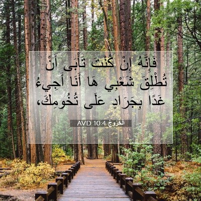 Picture 07 - اَلْخُرُوجُ 10:4 AVD - فَإِنَّهُ إِنْ كُنْتَ - Bible Verse Picture