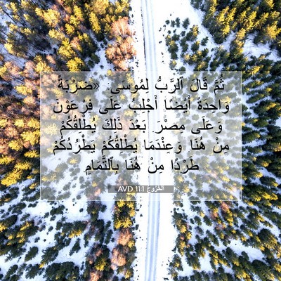 Picture 07 - اَلْخُرُوجُ 11:1 AVD - ثُمَّ قَالَ ٱلرَّبُّ - Bible Verse Picture