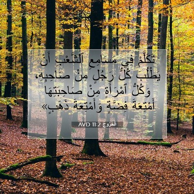 Picture 07 - اَلْخُرُوجُ 11:2 AVD - تَكَلَّمْ فِي مَسَامِعِ - Bible Verse Picture