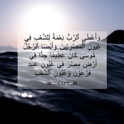 Picture 07 - اَلْخُرُوجُ 11:3 AVD - وَأَعْطَى ٱلرَّبُّ - Bible Verse Picture