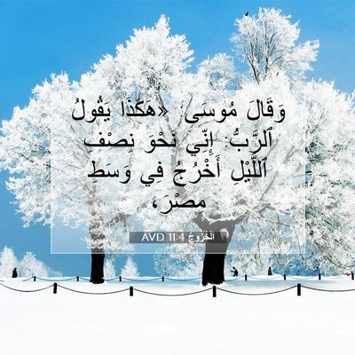 Picture 07 - اَلْخُرُوجُ 11:4 AVD - وَقَالَ مُوسَى: «هَكَذَا - Bible Verse Picture