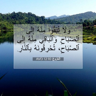 Picture 07 - اَلْخُرُوجُ 12:10 AVD - وَلَا تُبْقُوا مِنْهُ - Bible Verse Picture
