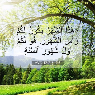 Picture 07 - اَلْخُرُوجُ 12:2 AVD - «هَذَا ٱلشَّهْرُ يَكُونُ - Bible Verse Picture