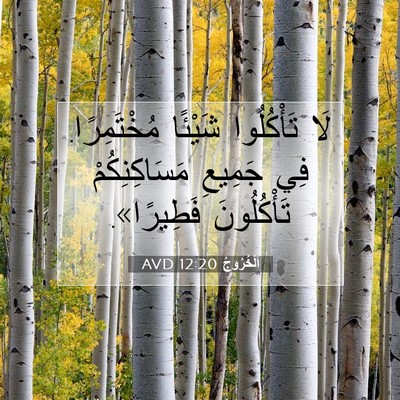 Picture 07 - اَلْخُرُوجُ 12:20 AVD - لَا تَأْكُلُوا شَيْئًا - Bible Verse Picture