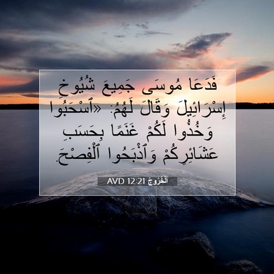 Picture 07 - اَلْخُرُوجُ 12:21 AVD - فَدَعَا مُوسَى جَمِيعَ - Bible Verse Picture