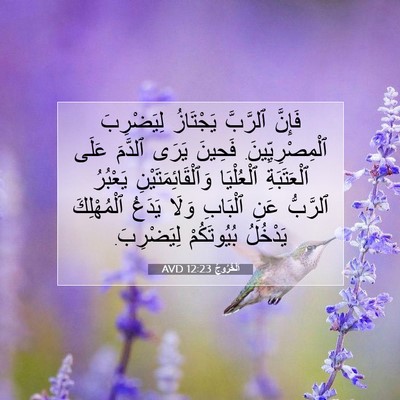 Picture 07 - اَلْخُرُوجُ 12:23 AVD - فَإِنَّ ٱلرَّبَّ - Bible Verse Picture