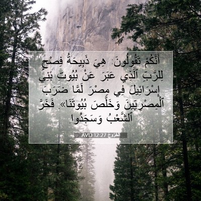 Picture 07 - اَلْخُرُوجُ 12:27 AVD - أَنَّكُمْ تَقُولُونَ: هِيَ - Bible Verse Picture