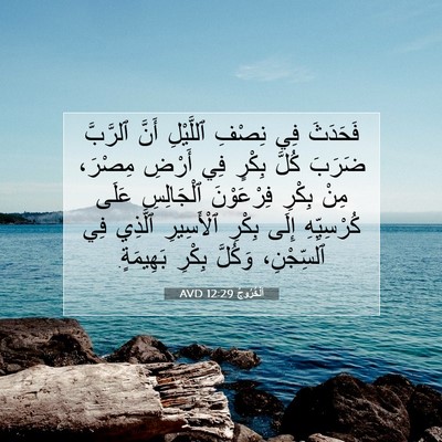 Picture 07 - اَلْخُرُوجُ 12:29 AVD - فَحَدَثَ فِي نِصْفِ - Bible Verse Picture