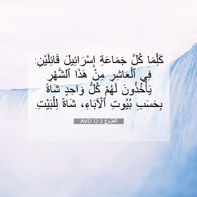 Picture 07 - اَلْخُرُوجُ 12:3 AVD - كَلِّمَا كُلَّ جَمَاعَةِ - Bible Verse Picture