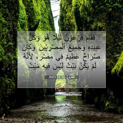 Picture 07 - اَلْخُرُوجُ 12:30 AVD - فَقَامَ فِرْعَوْنُ - Bible Verse Picture
