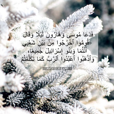 Picture 07 - اَلْخُرُوجُ 12:31 AVD - فَدَعَا مُوسَى وَهَارُونَ - Bible Verse Picture