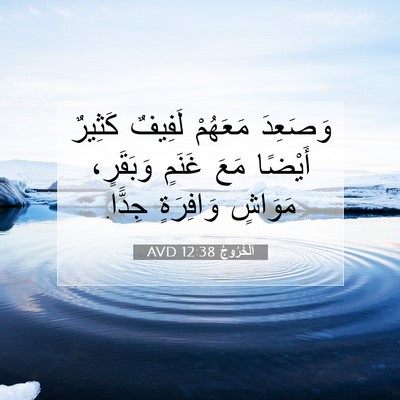 Picture 07 - اَلْخُرُوجُ 12:38 AVD - وَصَعِدَ مَعَهُمْ لَفِيفٌ - Bible Verse Picture