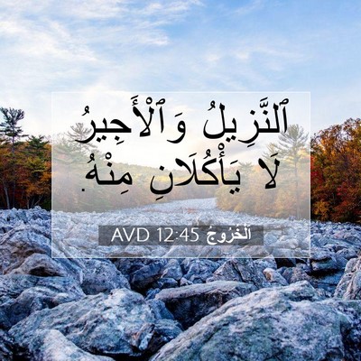 Picture 07 - اَلْخُرُوجُ 12:45 AVD - ٱلنَّزِيلُ وَٱلْأَجِيرُ - Bible Verse Picture