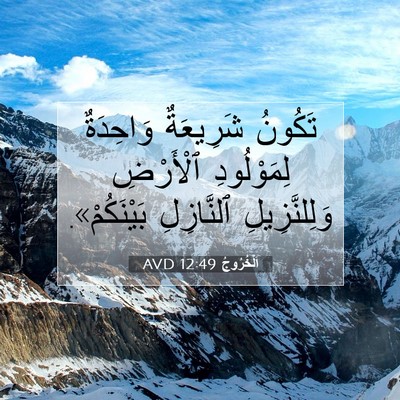 Picture 07 - اَلْخُرُوجُ 12:49 AVD - تَكُونُ شَرِيعَةٌ - Bible Verse Picture