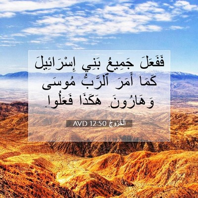 Picture 07 - اَلْخُرُوجُ 12:50 AVD - فَفَعَلَ جَمِيعُ بَنِي - Bible Verse Picture