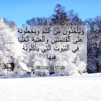Picture 07 - اَلْخُرُوجُ 12:7 AVD - وَيَأْخُذُونَ مِنَ - Bible Verse Picture