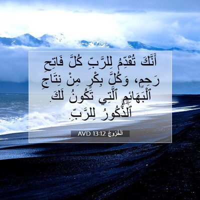 Picture 07 - اَلْخُرُوجُ 13:12 AVD - أَنَّكَ تُقَدِّمُ - Bible Verse Picture