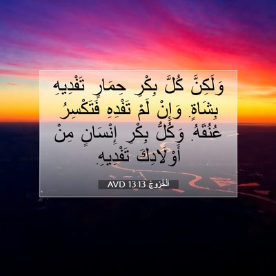 Picture 07 - اَلْخُرُوجُ 13:13 AVD - وَلَكِنَّ كُلَّ بِكْرِ - Bible Verse Picture