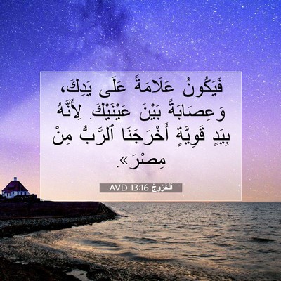 Picture 07 - اَلْخُرُوجُ 13:16 AVD - فَيَكُونُ عَلَامَةً عَلَى - Bible Verse Picture