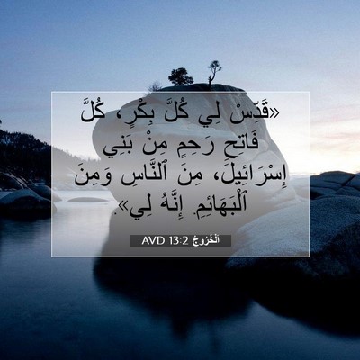 Picture 07 - اَلْخُرُوجُ 13:2 AVD - «قَدِّسْ لِي كُلَّ بِكْرٍ، - Bible Verse Picture