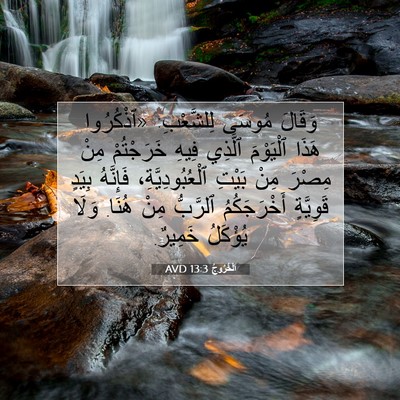 Picture 07 - اَلْخُرُوجُ 13:3 AVD - وَقَالَ مُوسَى لِلشَّعْبِ: - Bible Verse Picture