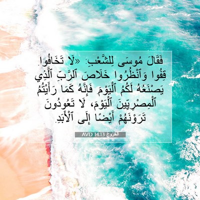 Picture 07 - اَلْخُرُوجُ 14:13 AVD - فَقَالَ مُوسَى لِلشَّعْبِ: - Bible Verse Picture