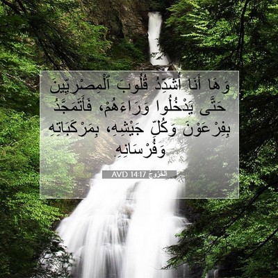 Picture 07 - اَلْخُرُوجُ 14:17 AVD - وَهَا أَنَا أُشَدِّدُ - Bible Verse Picture