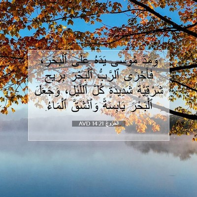 Picture 07 - اَلْخُرُوجُ 14:21 AVD - وَمَدَّ مُوسَى يَدَهُ - Bible Verse Picture