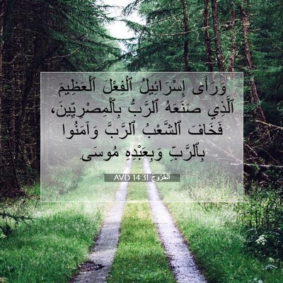 Picture 07 - اَلْخُرُوجُ 14:31 AVD - وَرَأَى إِسْرَائِيلُ - Bible Verse Picture