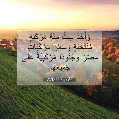 Picture 07 - اَلْخُرُوجُ 14:7 AVD - وَأَخَذَ سِتَّ مِئَةِ - Bible Verse Picture