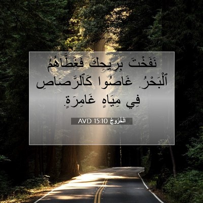 Picture 07 - اَلْخُرُوجُ 15:10 AVD - نَفَخْتَ بِرِيحِكَ - Bible Verse Picture