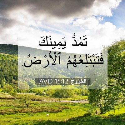 Picture 07 - اَلْخُرُوجُ 15:12 AVD - تَمُدُّ يَمِينَكَ - Bible Verse Picture