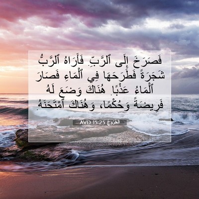 Picture 07 - اَلْخُرُوجُ 15:25 AVD - فَصَرَخَ إِلَى ٱلرَّبِّ. - Bible Verse Picture
