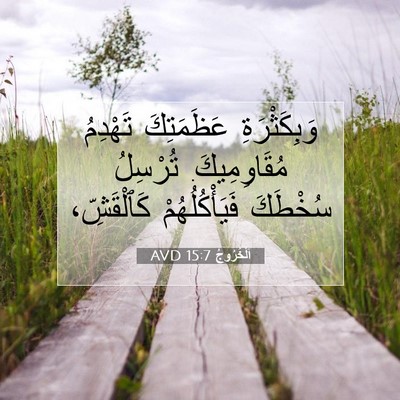 Picture 07 - اَلْخُرُوجُ 15:7 AVD - وَبِكَثْرَةِ عَظَمَتِكَ - Bible Verse Picture