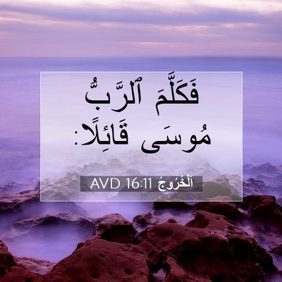Picture 07 - اَلْخُرُوجُ 16:11 AVD - فَكَلَّمَ ٱلرَّبُّ مُوسَى - Bible Verse Picture