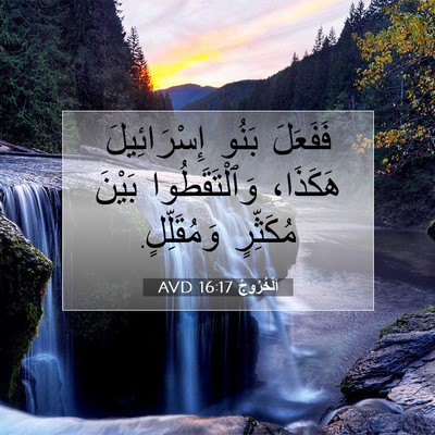 Picture 07 - اَلْخُرُوجُ 16:17 AVD - فَفَعَلَ بَنُو - Bible Verse Picture