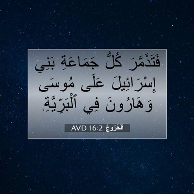 Picture 07 - اَلْخُرُوجُ 16:2 AVD - فَتَذَمَّرَ كُلُّ - Bible Verse Picture